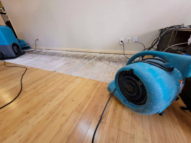 Professional Emergency Water Damage technician working in Seymour, MO